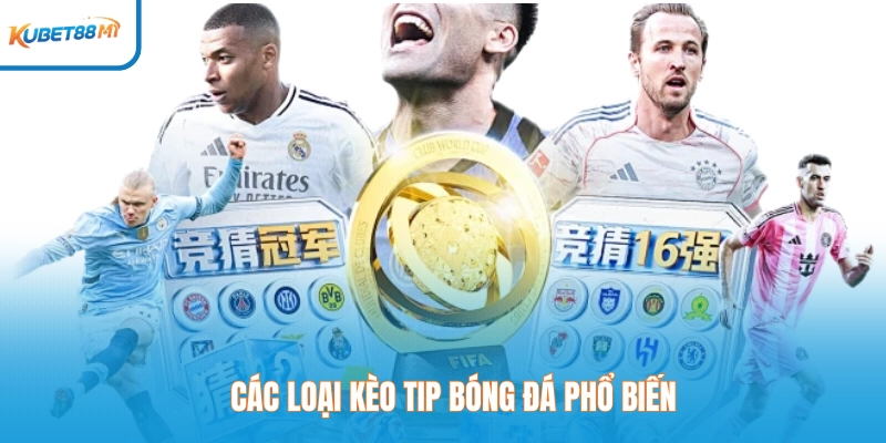 Jenis-jenis tip sepak bola yang populer